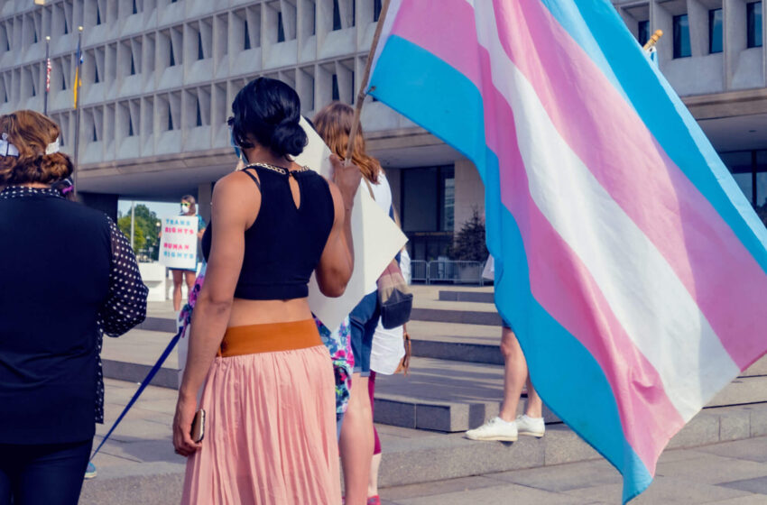  Dia da visibilidade trans: veja programação preparada pela Secretaria de Estado da Mulher e da Diversidade Humana