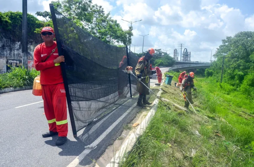  Emlur realiza serviços de roçagem e capinação em dez bairros