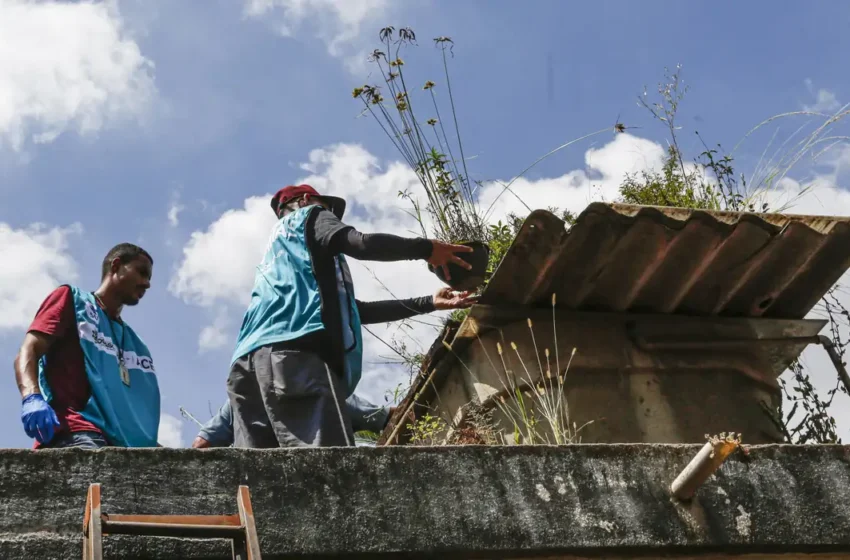  Saúde intensifica o monitoramento e as ações de combate à dengue em quatro estados