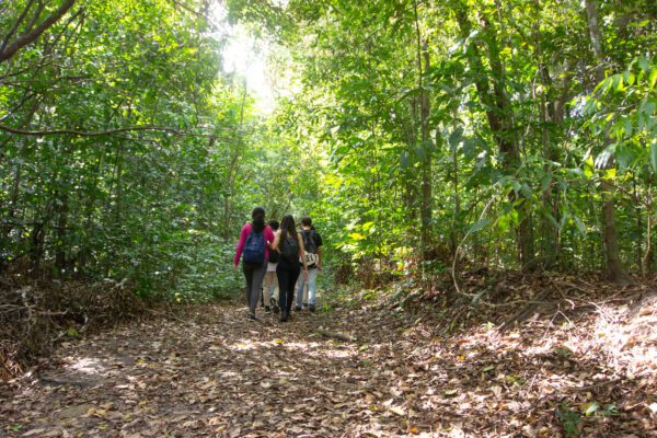  João Pessoa Oferece Férias de Aventura e Aprendizado com Trilhas Temáticas e Natureza