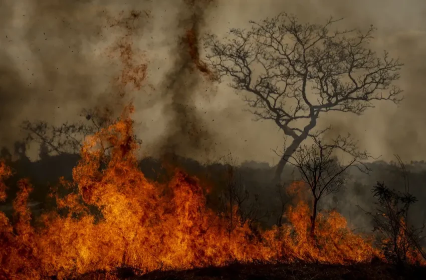  Pesquisadora aponta a crise climática como amplificadora de outras crises