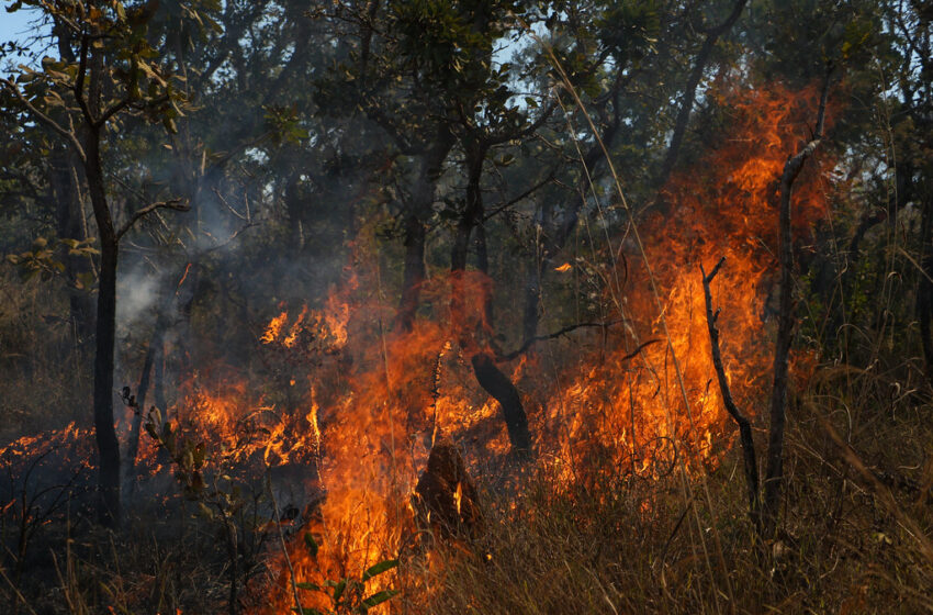  Incêndios florestais: Governo Federal declara emergência na Paraíba