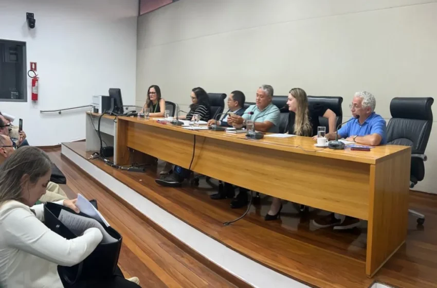  Funjope apresenta experiência da Tardezinha Inclusiva na Frente Parlamentar do Autismo, em Brasília