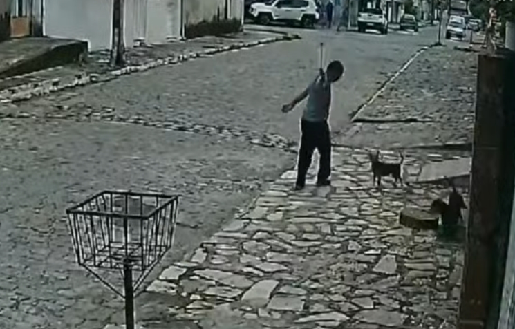  Homem é preso após agredir cachorros no bairro de Mandacaru, em JP