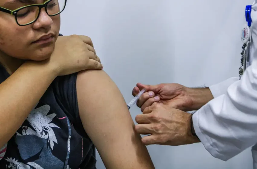  Dengue: após um ano de imunização, procura pela vacina continua baixa