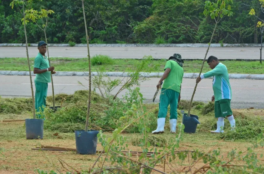  Programa ‘João Pessoa + Verde’ terá parceria com TRT-13 e vai recuperar áreas degradadas