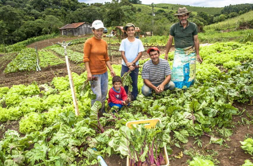  Programa Desenrola Rural deve cobrir mais de 34 mil produtores na PB; confira os detalhes