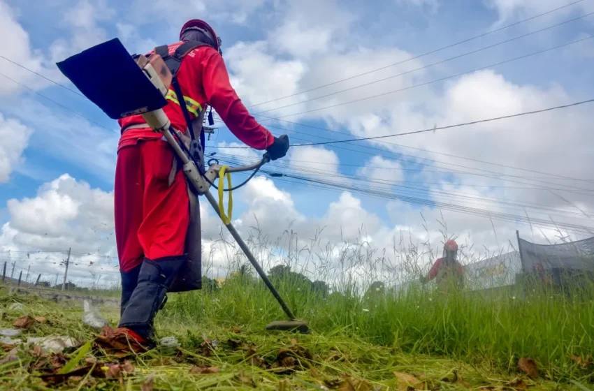 Emlur realiza coleta de poda de árvores, capinação e roçagem em mais de 45 localidades