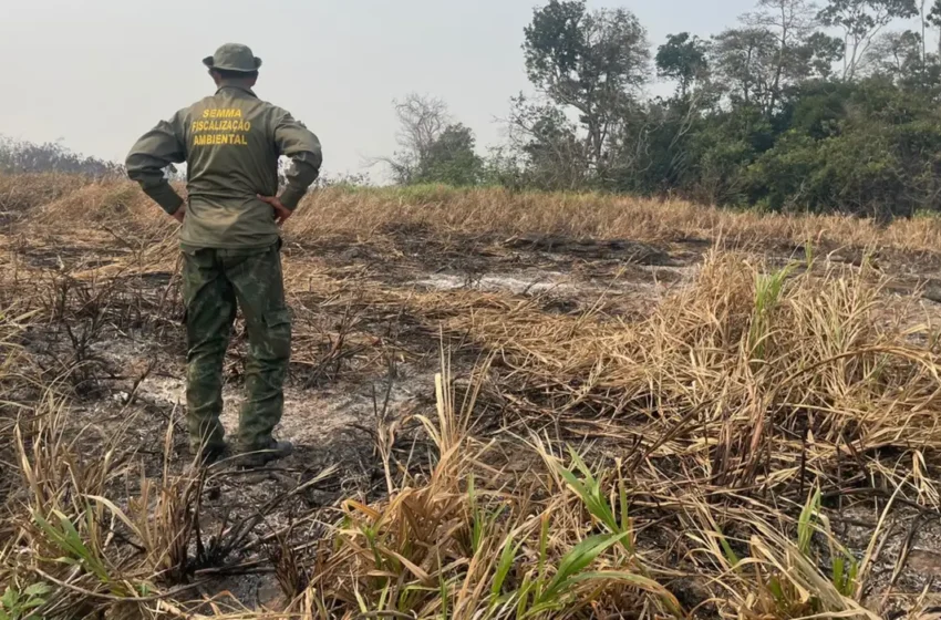 Brasil registra queda expressiva nas queimadas: 70% menos área destruída
