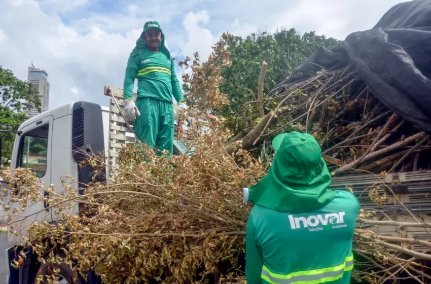 Dezessete bairros recebem serviços de roço e capinação ao longo da semana