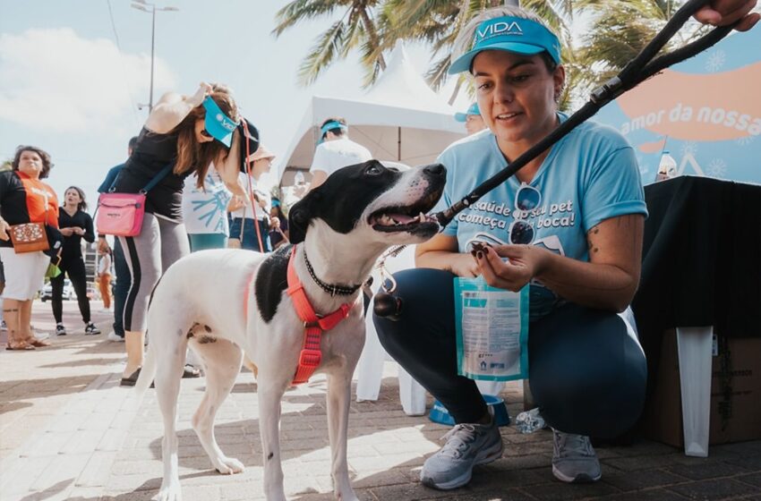 Ação do Hospital Veterinário VIDA movimenta a orla de João Pessoa com cuidados gratuitos para pets e tutores