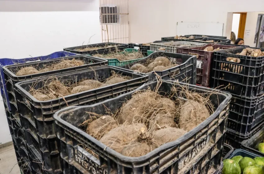  Prefeitura publica edital para seleção de agricultores familiares para o Banco de Alimentos