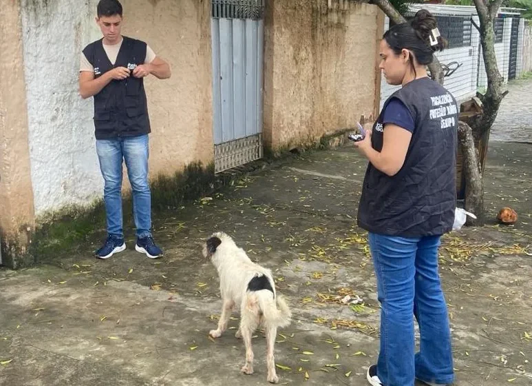 Prefeitura intensifica fiscalização contra maus-tratos animais e apura mais de 400 denúncias