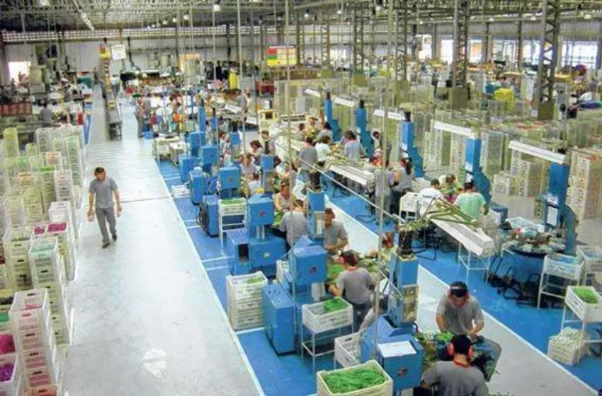 Emprego na indústria da Paraíba cai 10,5% em uma década, segundo IBGE