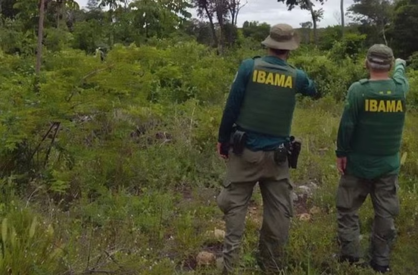 Ibama embarga áreas e aplica R$ 869 mil em multas por desmatamento ilegal na Paraíba