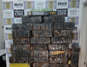  São João sob vigilância: polícia apreende tonelada de maconha em Soledade, no Agreste do estado