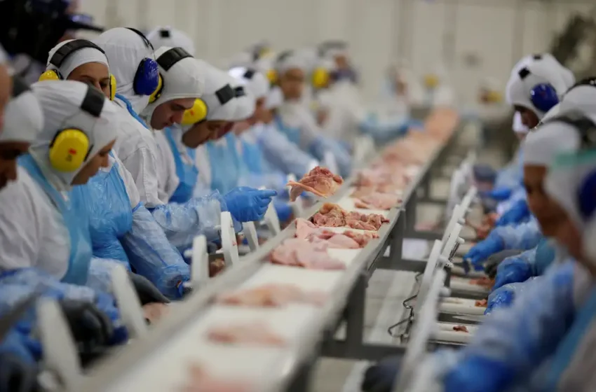 Indústria brasileira cria 910,9 mil empregos entre 2019 e 2023, aponta IBGE
