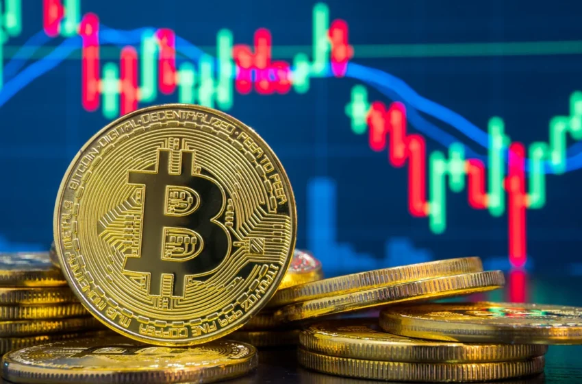 Plataformas de criptomoedas respondem objetivamente por fraudes em transações de clientes