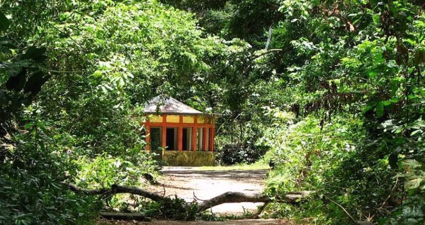 Feriados de Corpus Christi e São João alteram funcionamento do Jardim Botânico e Vale dos Dinossauros na Paraíba