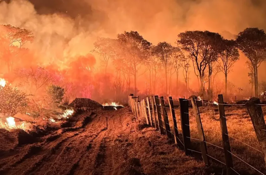 Polícia Federal inicia Operação Incêndios 2025 para combater crimes ambientais em áreas críticas