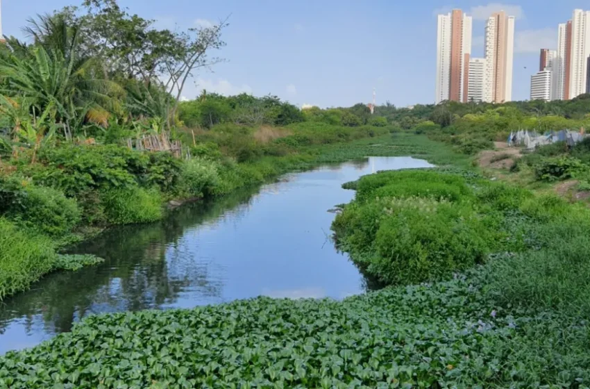 Prefeitura investe na recuperação do Rio Jaguaribe com estudos inéditos e participação da comunidade