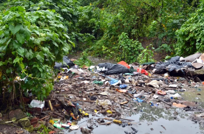 Prefeitura faz ação conjunta para desobstrução das margens do Rio Jaguaribe