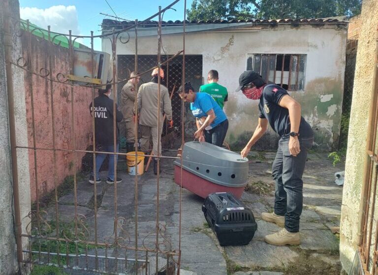  Homem é preso em flagrante por manter cerca de 40 cães em situação de abandono em Campina Grande