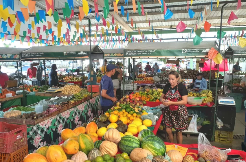  Semana da Agricultura Familiar marca os 10 anos da Cecaf com programação especial nesta quinta-feira (25) e sábado (26)