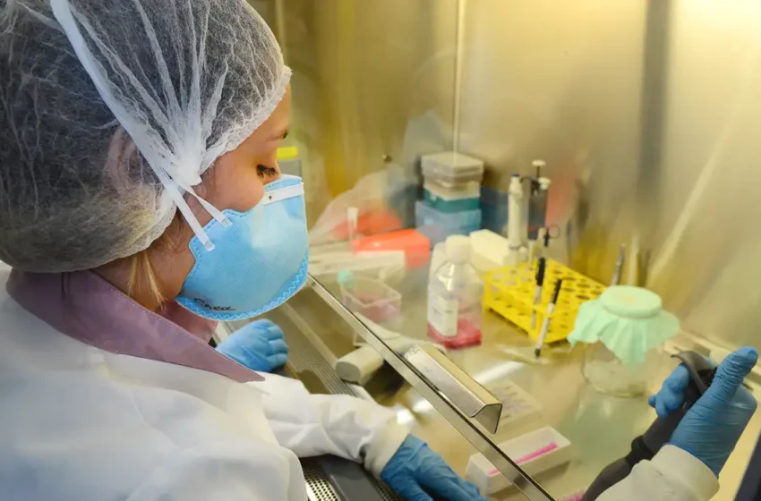 Vacina contra o vírus zika avança após testes bem-sucedidos em laboratório