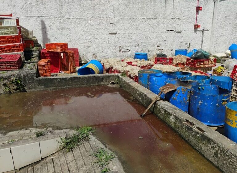  Sudema embarga abatedouro por lançamento irregular de efluentes em João Pessoa