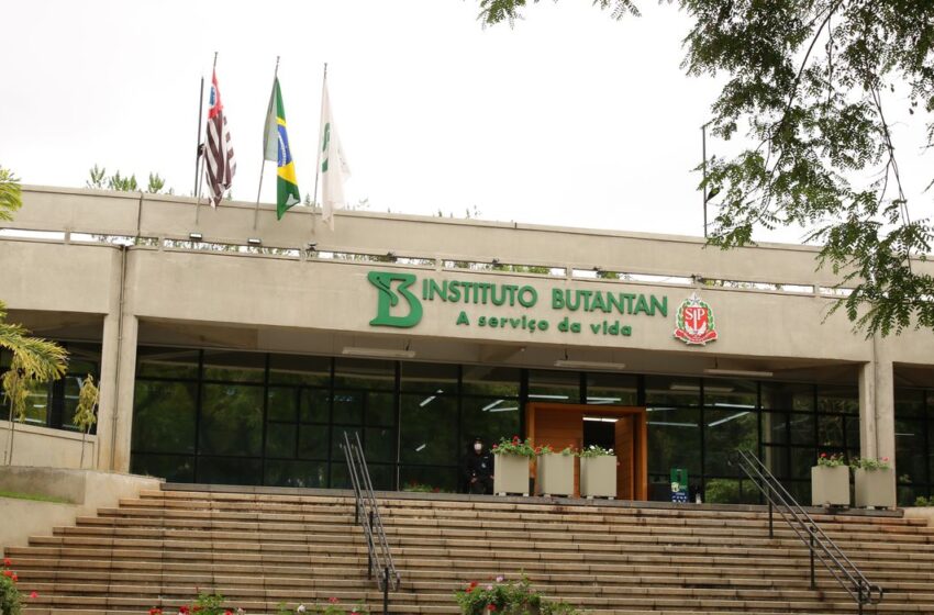 Butantan inicia testes em humanos da primeira vacina brasileira contra a gripe aviária H5N8