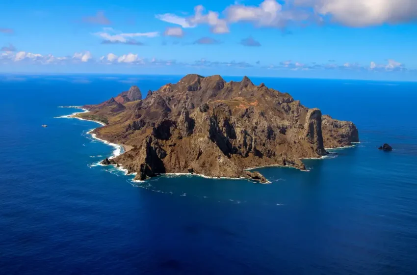 Ilha do Espírito Santo expande vegetação nativa e se destaca em recuperação ambiental