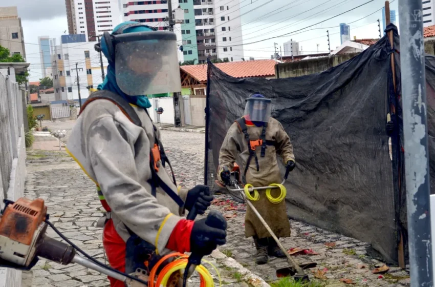 Emlur realiza ações de limpeza e conservação em 18 bairros, corredores e equipamentos públicos durante a semana