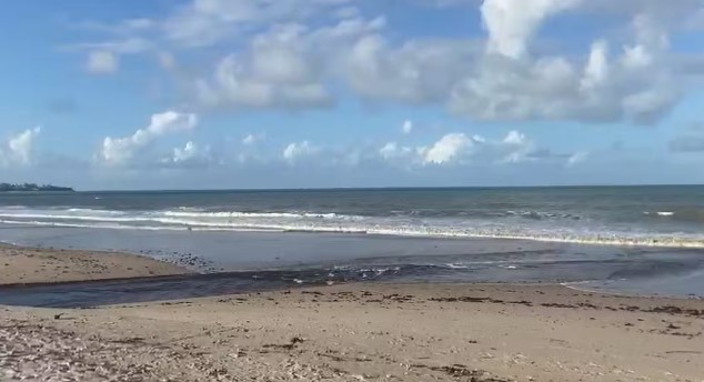 Manchas escuras no mar de João Pessoa: Ministério Público da Paraíba abre inquérito para investigação