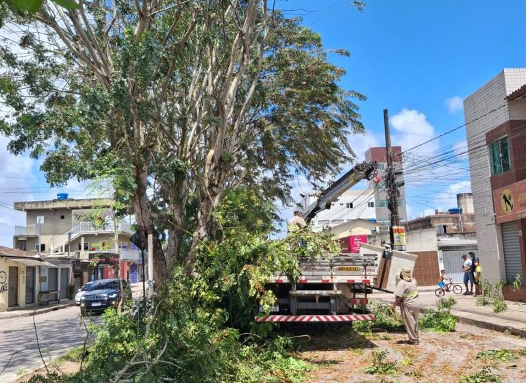 Sedurb inicia a semana realizando poda de árvores em três bairros de João Pessoa