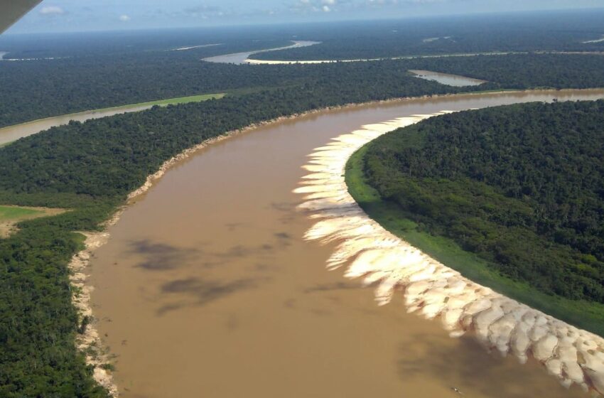 Rios da Amazônia entram em alerta por escassez de água e seca preocupa autoridades