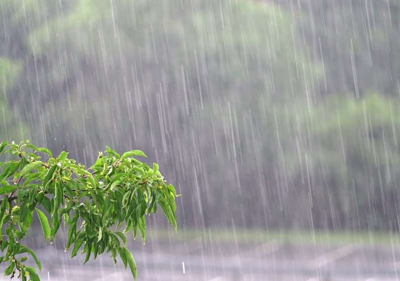 Instituto Nacional de Meteorologia (Inmet) emitiu, nesta sexta-feira (22), um alerta de vendaval para 104 municípios da Paraíba