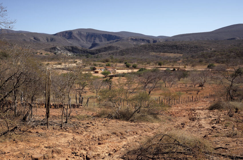  Seca castiga o Sertão e três cidades da Paraíba têm emergência reconhecida pelo Governo Federal
