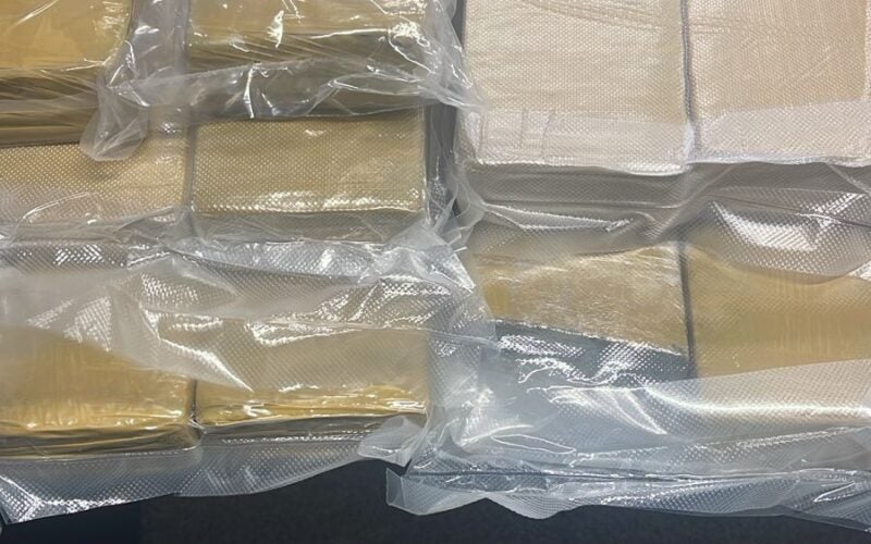 Mulher é presa no aeroporto de João Pessoa com mais de 10 kg de maconha na bagagem