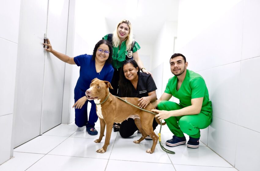  Prefeitura de João Pessoa adota abordagem de Saúde Única para promover equilíbrio entre sociedade e bem-estar animal