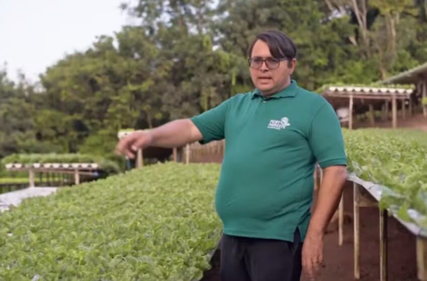  Fraude milionária com cultivo de hortaliças: Justiça mantém condenação de trio acusado de aplicar golpe de R$ 120 milhões na Paraíba
