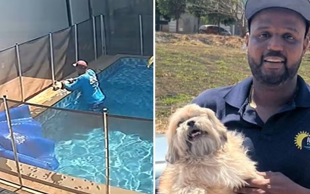  Piscineiro herói salva cachorro cego de afogamento: “Se eu chegasse 30 segundos depois, ele não estaria vivo”