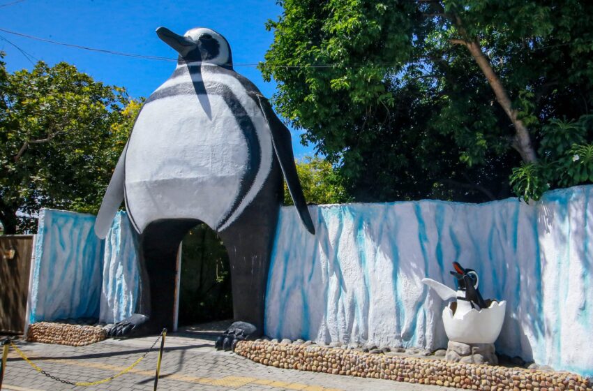  Aquário Paraíba tem ingresso com desconto especial para professores — Saiba Mais