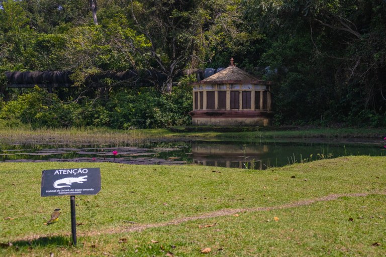  Jardim Botânico terá atividades lúdicas para o Dia das Crianças neste sábado (11)