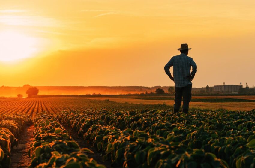 BNDES abre crédito de R$ 12 bilhões para produtores rurais afetados por eventos climáticos