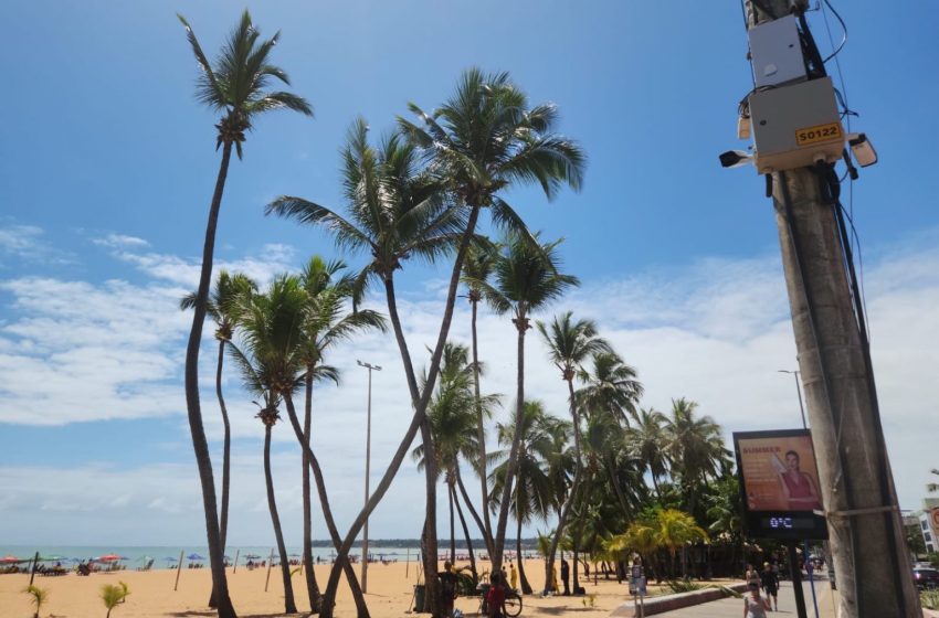  Sedurb intensifica limpeza de coqueiros e reforça segurança na orla para frequentadores