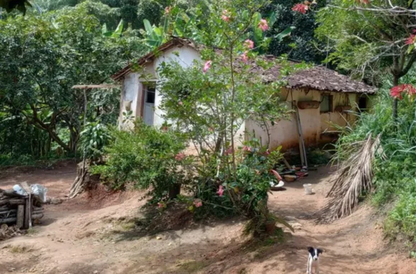  Governo autoriza desapropriação de terras para regularizar território quilombola em Areia