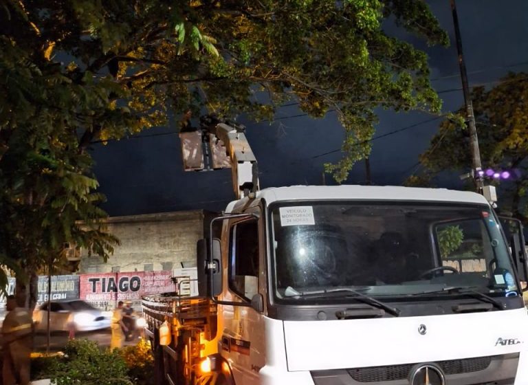  Sedurb itensifica podas árvores e prepara percursos da Caravana da Coca-Cola e da Romaria da Penha
