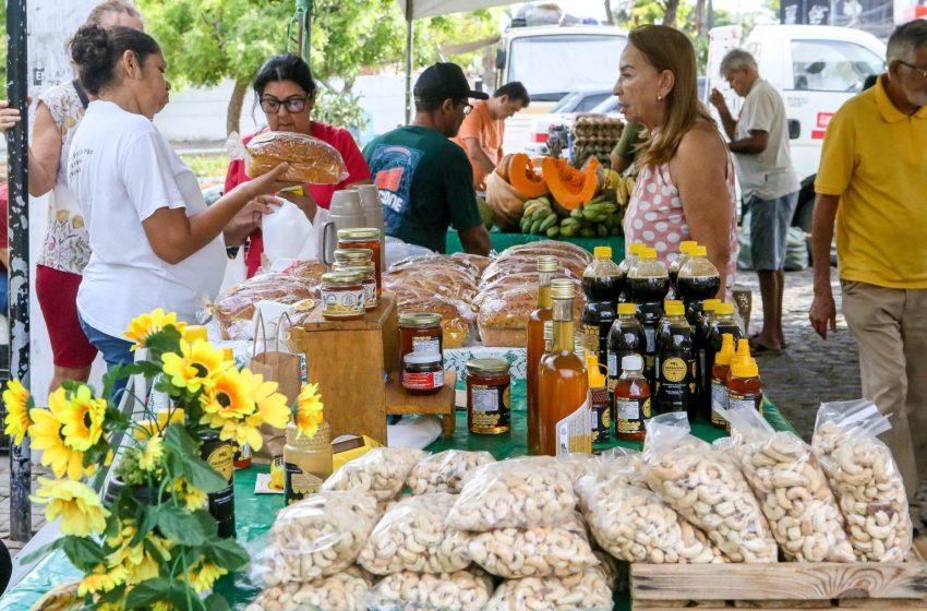 Incentivos da Prefeitura de João Pessoa fortalecem agricultura familiar e promovem desenvolvimento na Zona Rural