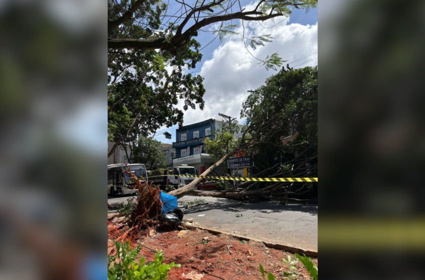  Temporal causa estragos e provoca apagão no estado de São Paulo